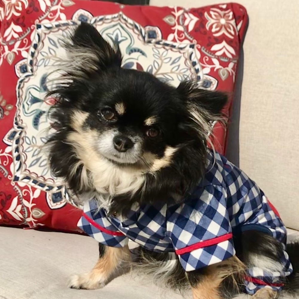 Meet your Posher, Allie